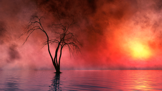 2022005 -- Top 5 Signs Your Amazon Ads are Dead in the Water -- Shannon